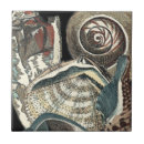 Recherche de coquillages carreaux Coquille