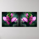 Recherche de torche posters Fleur
