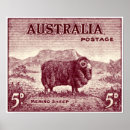 Recherche de bergers australiens posters Vintage