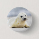 Recherche de phoques badges Animaux
