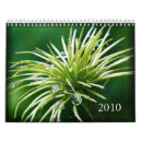Recherche de 2010 photographie Couleur
