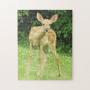 Recherche de de faune puzzles Été