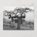 Recherche de cimetière cartes postales Mort