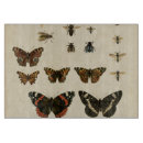 Recherche de insectes planches à découper Animaux