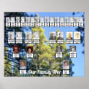 Recherche de forêt de pin posters Pour eux