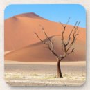 Recherche de arbre mort Afrique