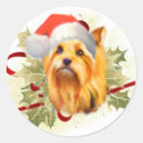 Recherche de yorkshire terrier autocollants Chien