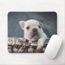 Recherche de french bulldog tapis souris Animal