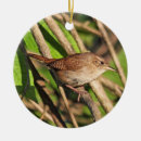 Recherche de roitelet ornements Faune
