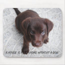 Recherche de citation chien tapis souris Chiot