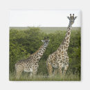 Recherche de appareil magnets Faune