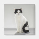 Recherche de rougeoyant vert maison deco Noir