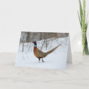 Recherche de faisans vœux cartes Hiver