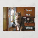 Recherche de humour geek cartes postales Chat