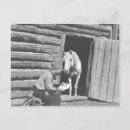 Recherche de cheval de cowboy cartes postales Historique