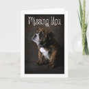 Recherche de chien bouledogue vœux cartes Tu me manques