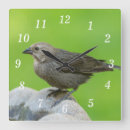 Recherche de petit colibri art Toute personne