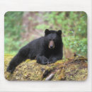 Recherche de olympique tapis souris État de washington