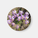 Recherche de conception mignonne magnets Anniversaire