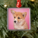 Recherche de pembroke welsh corgi ornements Canine