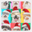 Recherche de chat père noël autocollants Drôle