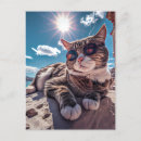Recherche de chat lunettes soleil cartes postales Amoureux des chats