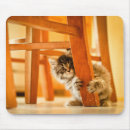 Recherche de parqueter tapis souris Un animal