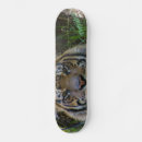 Recherche de zoo skateboards Chat