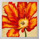 Recherche de perroquet tropical posters Botanique
