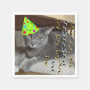 Recherche de bleu russe serviettes Chat