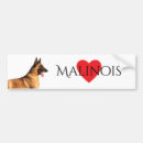 Recherche de malinois voiture autocollants Chien