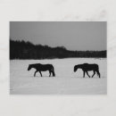 Recherche de ann cartes postales Hiver