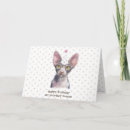 Recherche de chat de sphynx vœux cartes Chats