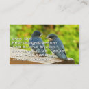Recherche de hirondelles cartes visite Nature