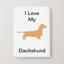 Recherche de teckels badges Dachshund
