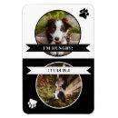 Recherche de patte de chien magnets Animal