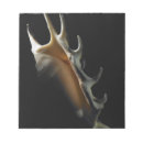 Recherche de objets blocsnotes Arrière plan noir