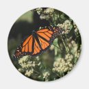 Recherche de de papillon de monarque refrigérateur magnets Vol