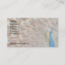 Recherche de plumes paon cartes visite Oiseaux