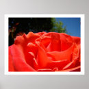 Recherche de fleurs f art Pour tous
