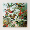 Recherche de hummingbird puzzles Fleur