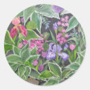 Recherche de iris autocollants Jardin