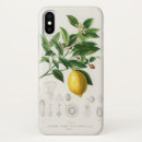 Recherche de illustrations vintages de fruit iphone coques Citron