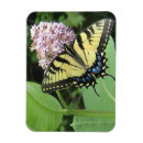Recherche de cuisine de bureau magnets Jaune