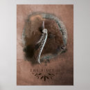 Recherche de bison posters Buffle