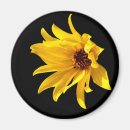 Recherche de hélium Fleur