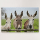 Recherche de puzzels humor puzzles Pour tous