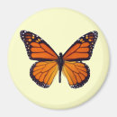Recherche de papillon orange magnets Insecte