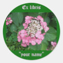 Recherche de guêpes autocollants Insecte