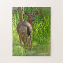 Recherche de queue puzzles Faune